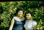 Saipan 1956 Collection, No. 38 Women In Front Of Hibiscus Plant 